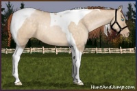 Horse Color:Buckskin Pearl Dun Tobiano 