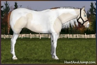 Horse Color:Buckskin Pearl Dun Tobiano 