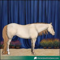 Horse Color:Buckskin Pearl Dun 
