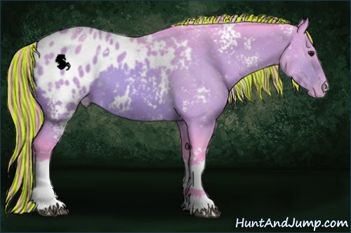 Horse Color:Painted Watercolor White Spotted Buckskin Appaloosa 