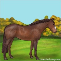 Horse Color:Chocolate Brown 