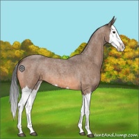 Horse Color:Bay Roan Splash