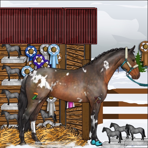 Horse Color:White Spotted Buckskin Roan 