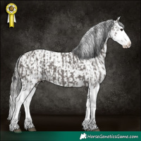 Horse Color:Platinum Smoky Grullo Sabino Splash  and Platinum Smoky Grullo Sabino Splash Blanket 