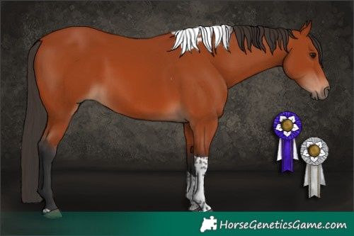 Horse Color:Bay Tobiano Rabicano 