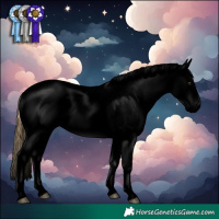 Horse Color:Void Buckskin Roan Dun Splash Appaloosa 