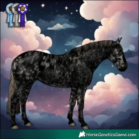 Horse Color:Void Buckskin Roan Dun Splash Appaloosa 
