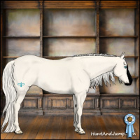 Horse Color:Void Cremello Dun Splash 