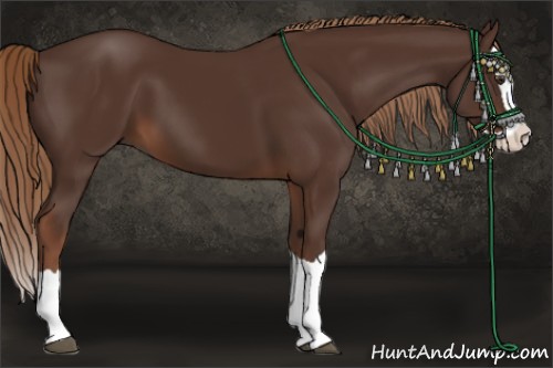 Horse Color:Liver Chestnut Splash 