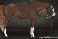 Horse Color:Liver Chestnut Splash 