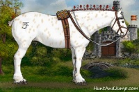 Horse Color:Palomino Dun Splash Appaloosa