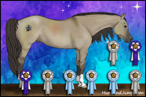 Horse Color:Smoky Grullo