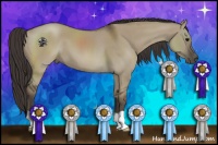 Horse Color:Smoky Grullo 