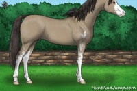 Horse Color:Smoky Grullo Sabino 