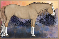 Horse Color:Gray Palomino Roan Dun Splash 