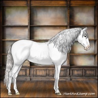 Horse Color:White Spotted Silver Brown Onyx Splash 