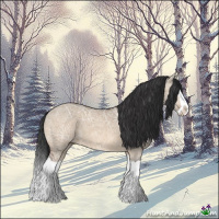 Horse Color:Brown Ice Dun Splash 