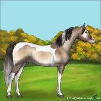 Horse Color:Liver Red Dun Onyx Tobiano Brindle