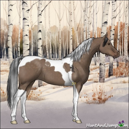 Horse Color:Liver Red Dun Tobiano 