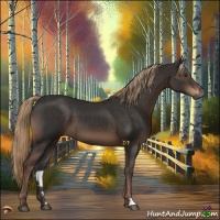 Horse Color:Liver Chestnut 