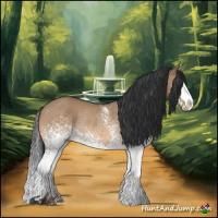 Horse Color:White Spotted Bay Dun Sabino Splash Rabicano