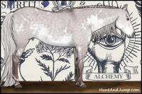 Horse Color:White Spotted Chocolate Silver Smoky Grullo Chinchilla 