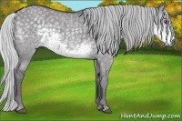 Horse Color:Silver Smoky Grullo Chinchilla 