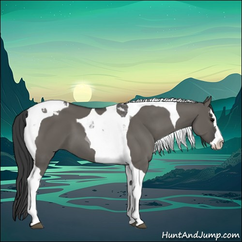 Horse Color:Grullo Sabino Splash Tobiano 