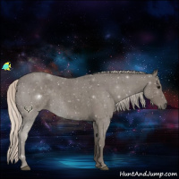 Horse Color:Silver Blue Roan 
