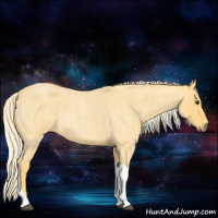 Horse Color:Palomino Roan Tobiano 