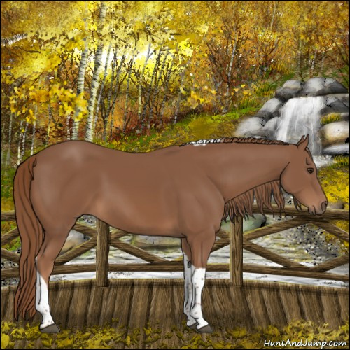 Horse Color:Chestnut Tobiano 