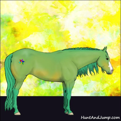 Horse Color:Watercolor Bay 