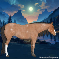 Horse Color:Bay Roan 
