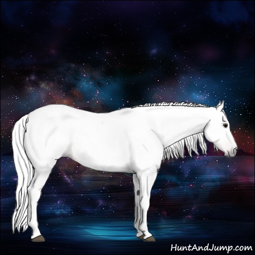 Horse Color:Gray Bay Roan Rabicano 