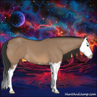 Horse Color:Bay Dun Sabino Splash