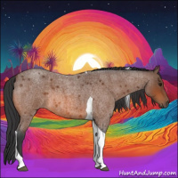 Horse Color:Bay Roan Tobiano Rabicano 