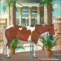 Horse Color:Silver Bay Splash Tobiano 