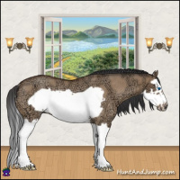 Horse Color:Bay Ice Roan Dun Splash Frame Rabicano