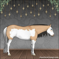Horse Color:Bay Roan Dun Splash Frame 