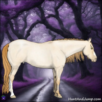 Horse Color:Red Dun Roan Pearl 