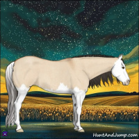 Horse Color:Bay Roan Dun Splash 