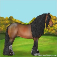 Horse Color:Brown 
