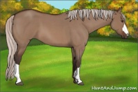Horse Color:Silver Bay Roan Dun 