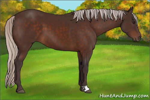 Horse Color:Silver Brown