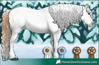 Horse Color:White Spotted Buckskin Dun Appaloosa 
