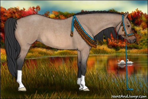 Horse Color:Brown Roan Dun 
