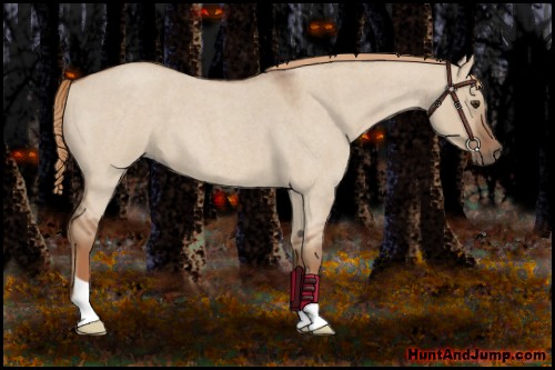 Horse Color:Red Dun Roan