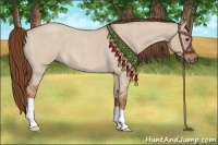 Horse Color:Red Dun Roan 