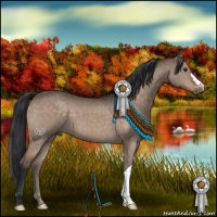 Horse Color:Brown Dun 
