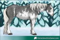 Horse Color:White Spotted Liver Chestnut Mushroom Sabino 
